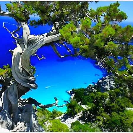 Vicol8 公寓 多尔加利