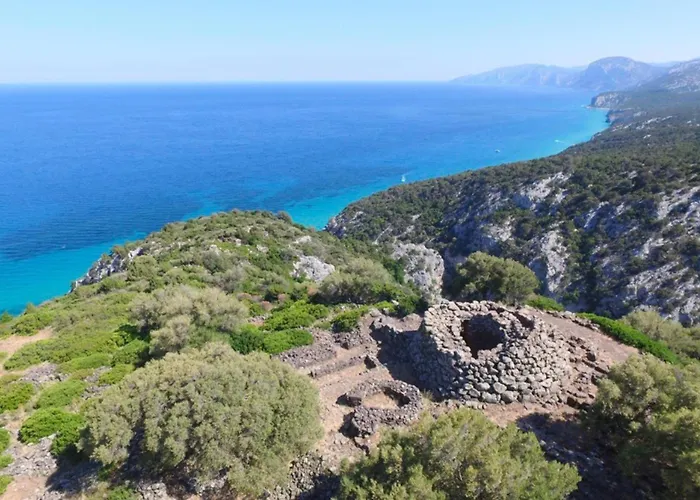 Vicol8 * 多尔加利