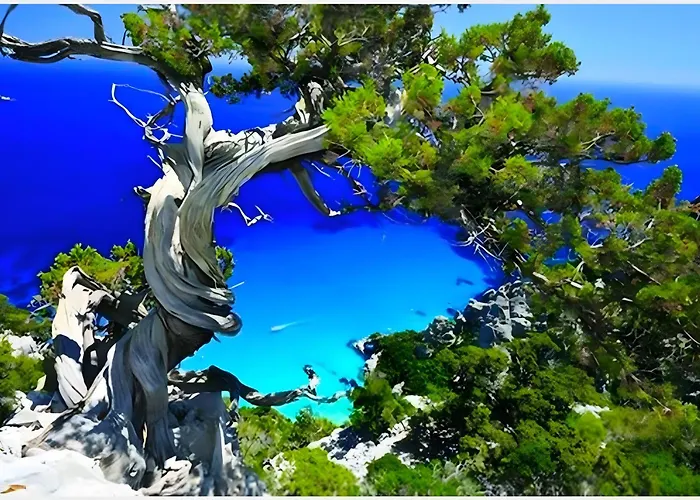 Vicol8 公寓 多尔加利